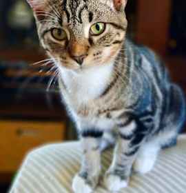 Photo of Boots