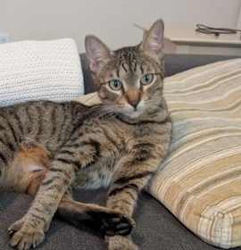 Photo of Georgia O'Keeffe