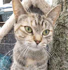 Photo of Tilly (Happy Single)