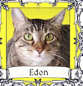 Photo of Eden