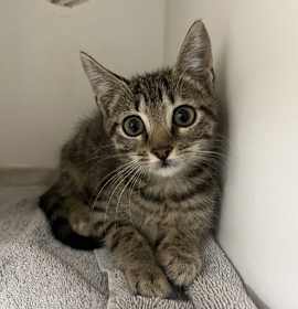 Photo of Winifred