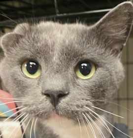 Photo of Captain Crunch