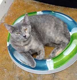 Photo of Pistachio (kit 8 of 8)