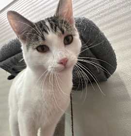 Photo of Patrick *Meet me 12/13 @ PSP Fridley!*