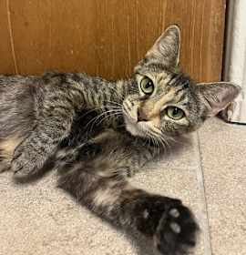 Photo of Tippy Hedrick