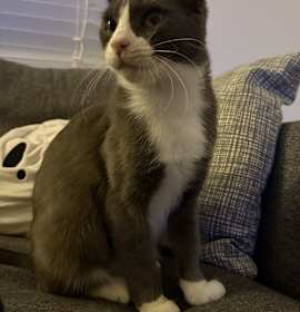 Photo of Mrs. Bennet