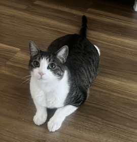 Photo of Scar & Oliver