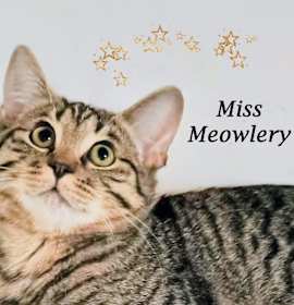 Photo of MISS MEOWLERY