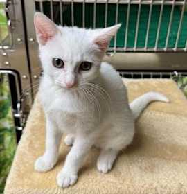 Photo of Kate Winslet