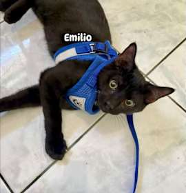 Photo of Emilio