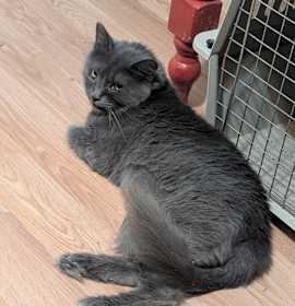 Photo of Cruz I #11 aka Maxine