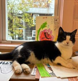 Photo of Minor Aka Abby