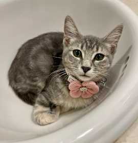 Photo of Ms Jelly Bean