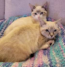 Photo of Nautilus and Sandy