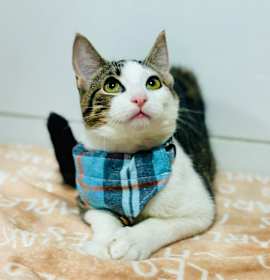 Photo of Sticky Note