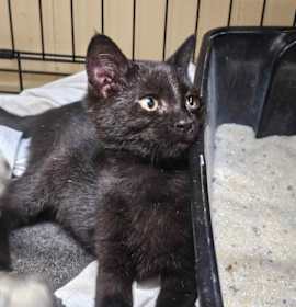 Photo of Kimi Finster