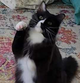 Photo of OH - Jax (MCR)