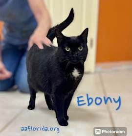 Photo of Ebony *Cyd