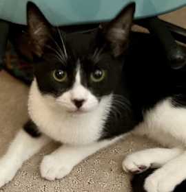 Photo of ChipBe & DaleBe