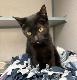 Photo of Mrs Worthington