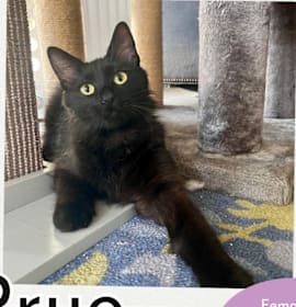 Photo of Prue (Proofing Drawer)