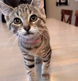 Photo of Julia Roberts