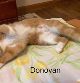 Photo of Donavan