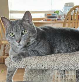 Photo of Beastie Boy