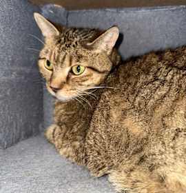 Photo of Sea Monster