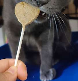 Photo of Little Frankie