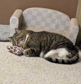 Photo of Lucy-Foster