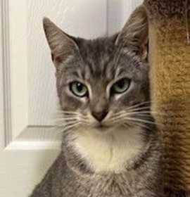 Photo of Peppermint Patty