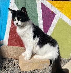 Photo of Princess Mithian