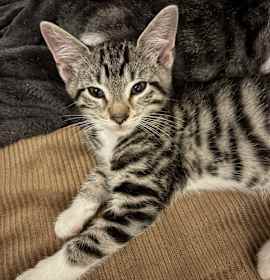 Photo of Will Turner