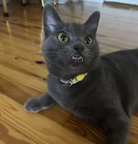 Photo of Lucy Smiles