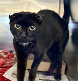 Photo of Junie Jamboree Joy