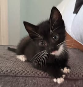 Photo of Billie Beans