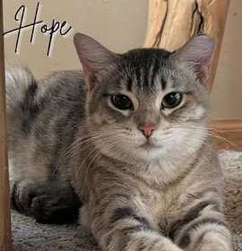 Photo of Hope