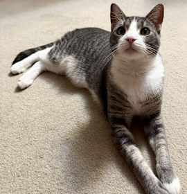 Photo of Greyson Philly (and Dixxie)