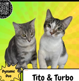 Photo of Tito & Turbo