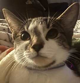 Photo of Abi Clarkson