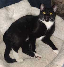 Photo of Cleopatra courtesy post