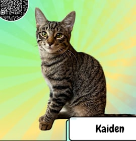 Photo of Kaiden Alenko