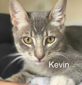 Photo of Kevin