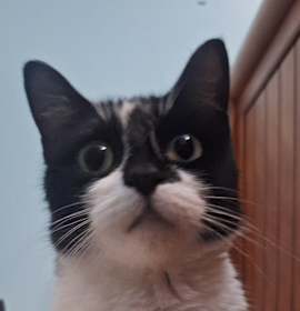 Photo of Fruit Loops