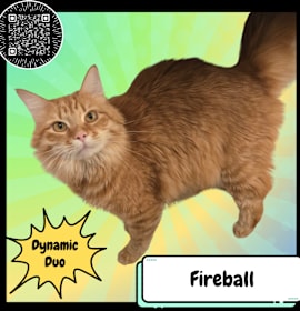 Photo of Fireball & Ironbelly