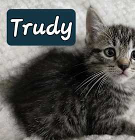 Photo of Trudy