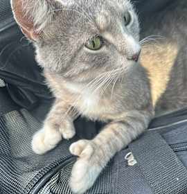 Photo of Tommy Two Thumbs