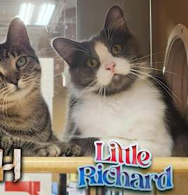 Photo of Birch & Little Richard