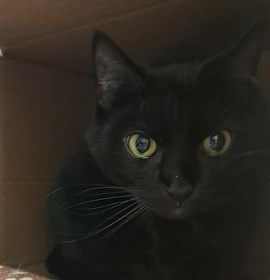 Photo of Dr. Facilier